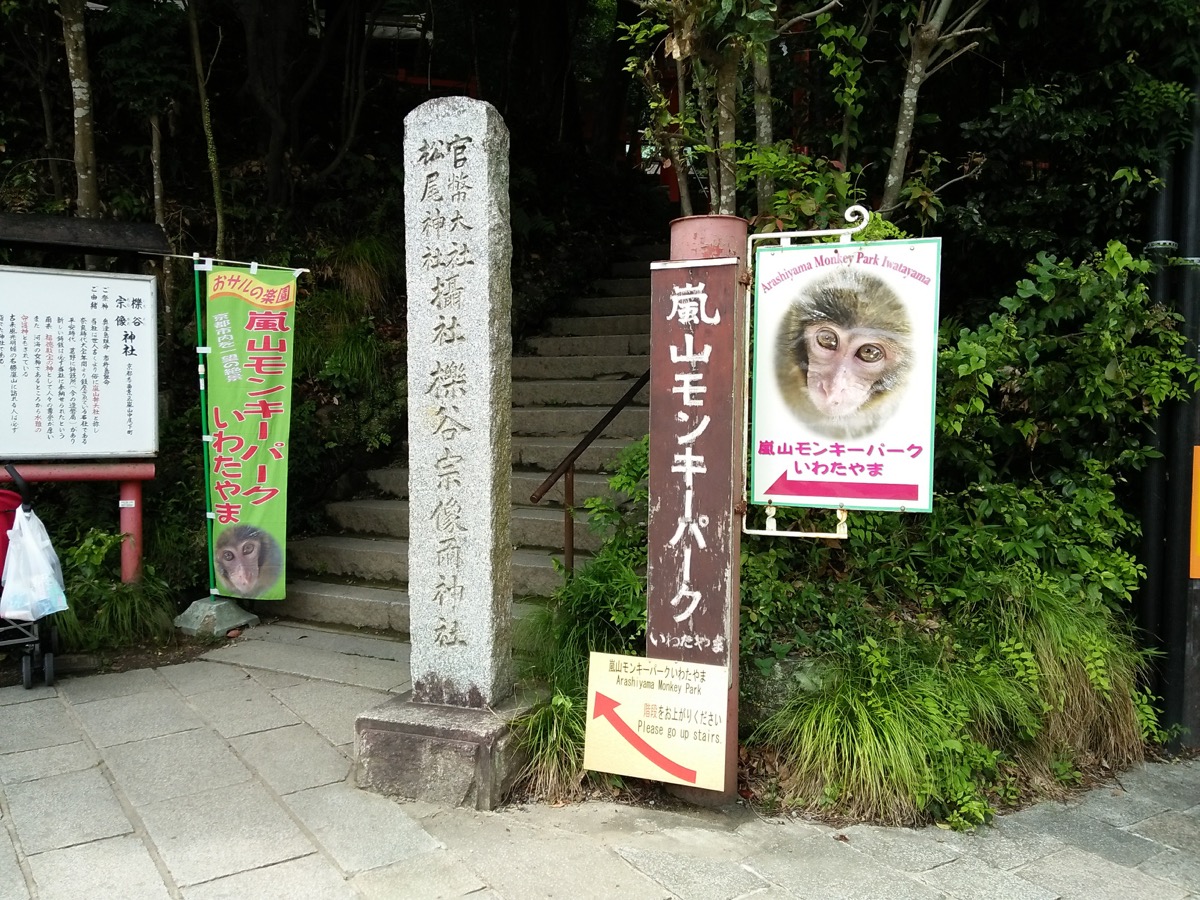 嵐山モンキーパークいわたやまのニホンザル
